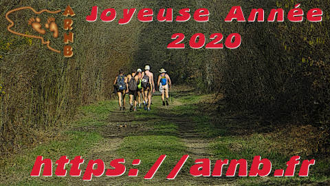 Bonne année 2020