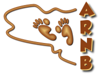 ARNB v
